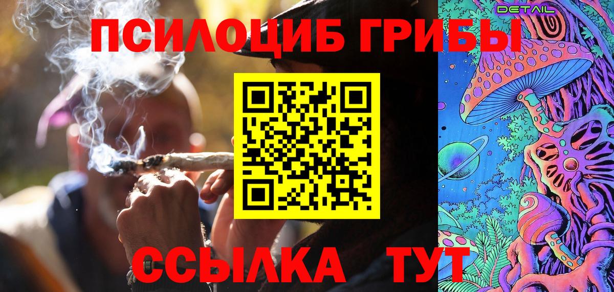 Псилоцибиновые грибы Cubensis Новодвинск
