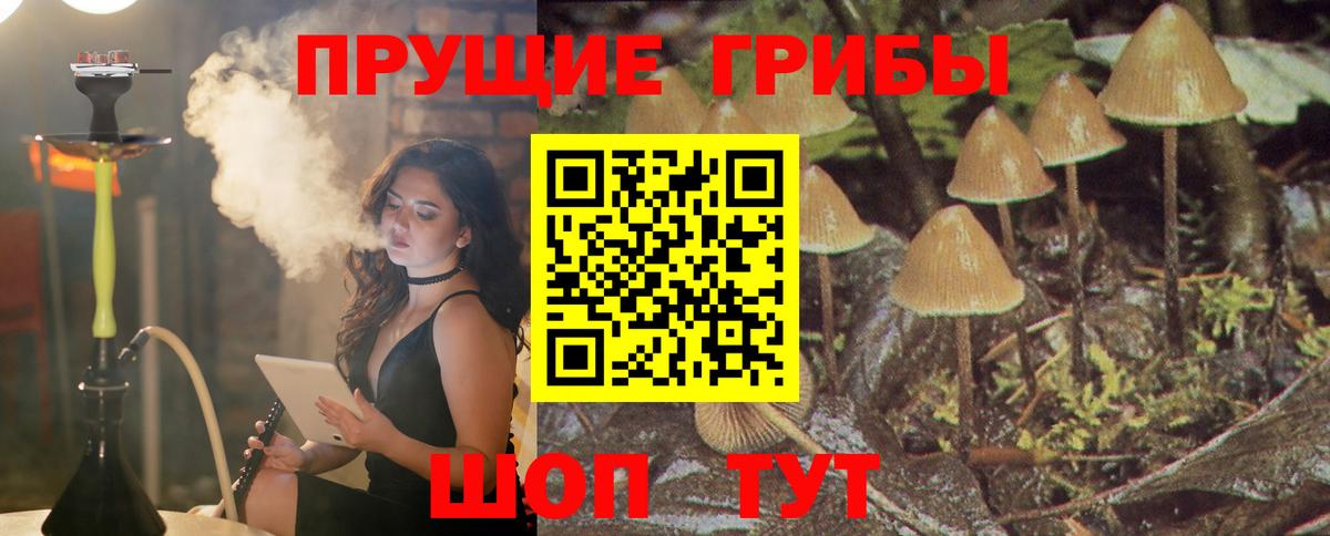 Псилоцибиновые грибы ЛСД  Вход с VPN  Галлюциногенные грибы Cubensis  Новодвинск 
