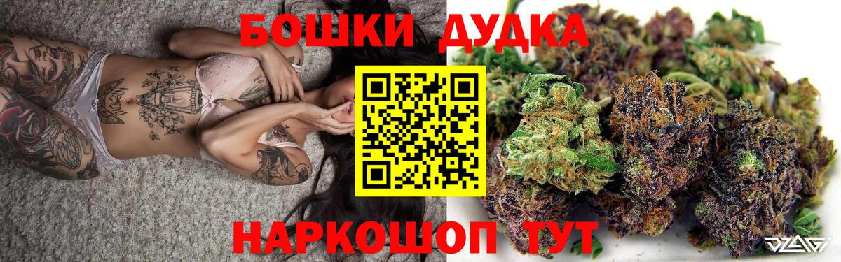 Конопля SATIVA & INDICA  Вход с VPN  МАРИХУАНА план  Новодвинск  МАРИХУАНА White Widow 
